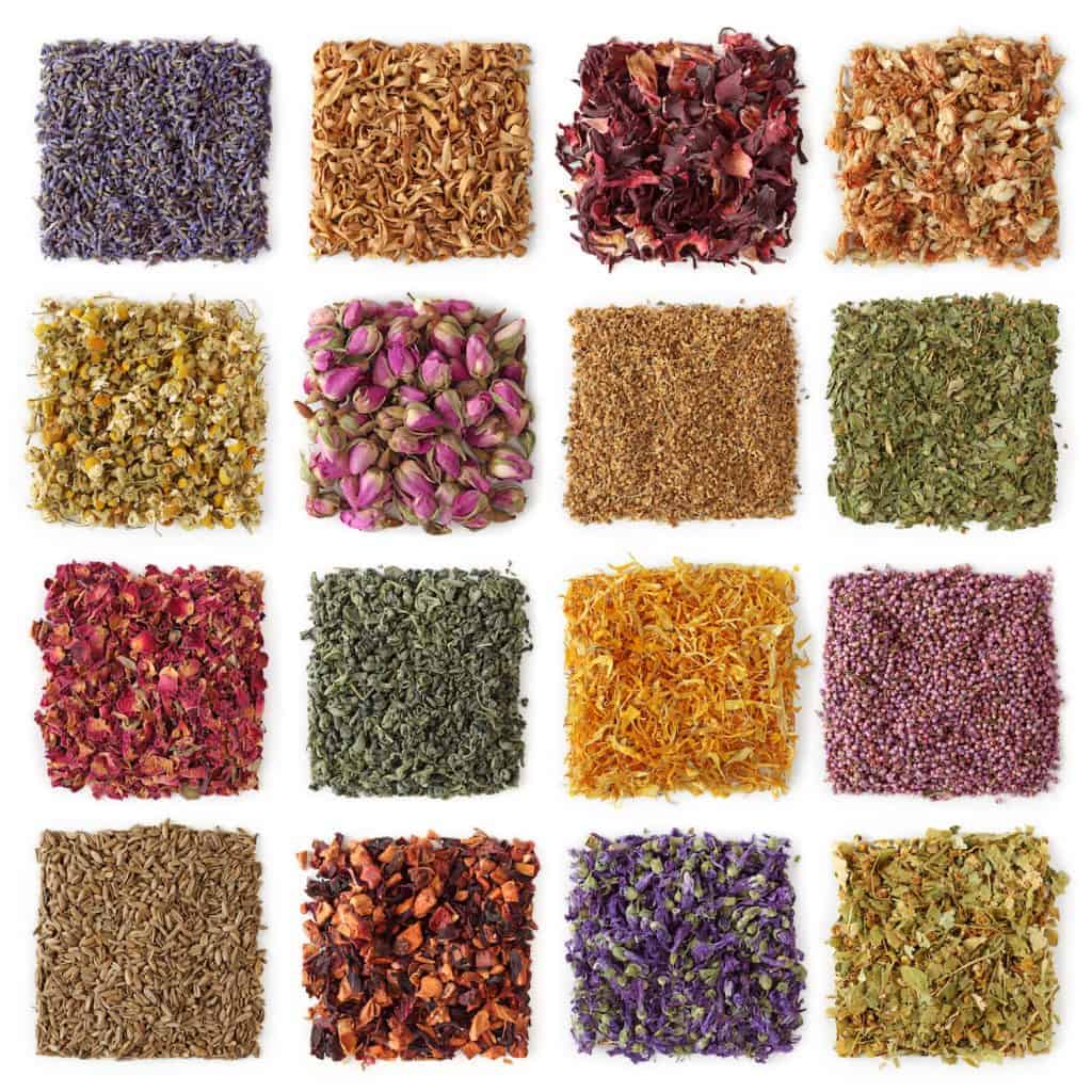 Sixteen Different Dried Botanicals